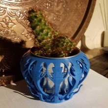 small cache pot vase planter cactus design 3d print model - Mito3D