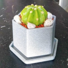 petit pot de fleur, bac d'égouttage la maison 3d print model - Mito3D