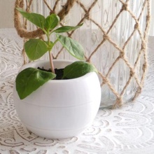 petit fleur pot secret récipient planteur cacher décoration 3d print model - Mito3D