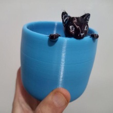 küçük saksı hapsolmuş kedi yavrusu Yavru tencere tatlı bitkiler 3d print model - Mito3D