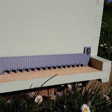 klein Bienenstock Eingang Tür Filterung 3d print model - Mito3D