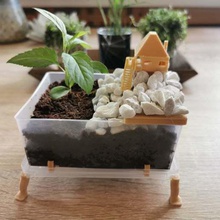 small live diorama home flower pot decor 3d print model - Mito3D