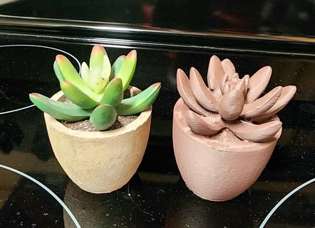 piccolo pachyphytum in vaso pianta impianti Casa finestra casa arredamento ufficio cioccolato legna fibra pla polymaker presentatore m5 3d stampato 3d print model - Mito3D