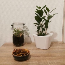 pequeno plantar Panela cobrir bainha original Projeto vaso decoração plantas flores 3d print model - Mito3D