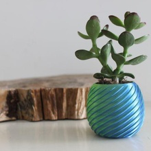 piccolo pentola arte fiore vaso decorazione design atmosfera zen moneta verde two tone 3d print model - Mito3D