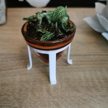 small pot stand home decor 3d print model - Mito3D