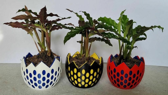 small skeleton egg planter garden indoor farming plant pot outdoor 3d print model - Mito3D