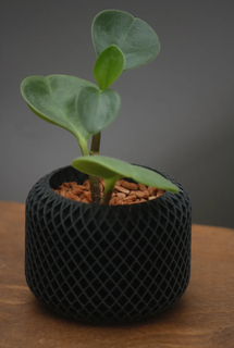 small spiral planter pot fleur plante maison salon terre 3d print model - Mito3D