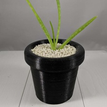 small succulent planter home indoor houseplants plant pot 3d print model - Mito3D