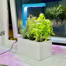 smart self-watering pot grow light 6 pots garden home office plant herbs vegetables fruits greenhouse 3d print model - Mito3D