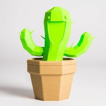 sorrindo cacto recipiente a casa recipientes cactus pote plantador 3d print model - Mito3D