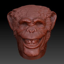 smiling chimpance head monkey - art primate ape planet zoo animal chimp similarity luifer marijuana 3d print model - Mito3D