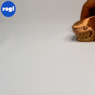 lächelnd Hai Tier artikuliert flexi Spielzeug lustiges Unterstützung printinplace 3d print model - Mito3D