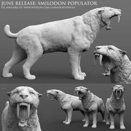 smilodon populator saber-toothed tiger roaring animal d&d cat sabertooth sabertoothed saber toothed paleoart reconstruction extinct prehistoric mammal wildshape wild shape companion familiar miniature creature mini tabletop dungeons and dragons labradoritewolf dnd 3D print model - Mito3D