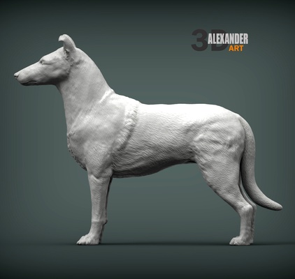 liscio cappotto collie 3d stampa modello arte cane natura mammifero animale domestico scultura statuetta souvenir scolpire sculture statua stampabile 3d print model - Mito3D