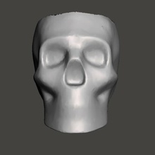 lisse crâne mat camarade 3d print model - Mito3D