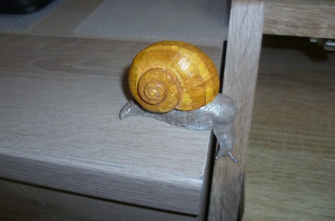 snail look slime shell 3d print model - Mito3D