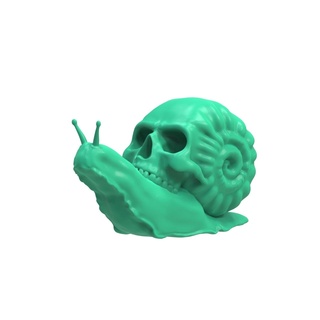 snail skull 3d print model - Mito3D