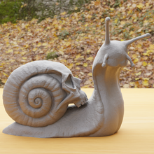 snail skull various 3d print model - Mito3D