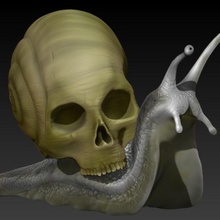 snailskull art snail nail skull decoration 3d print model - Mito3D