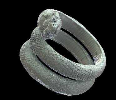 yılan yüzük double headed gizem ikilik denge birbirine bağlılık karşıtlar sembolizm 3d print model - Mito3D