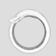 snake ring 3d printable cad design jewelry gold exotic 3d print model - Mito3D