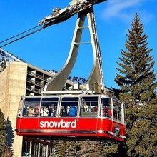 snowbird aerea tram 3d modello sciare ricorrere tramaglio veicoli 3d print model - Mito3D