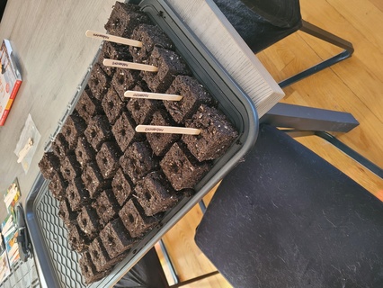 soil press make seedlings garden seedling blocker blocking plant flower greenhouse 3d print model - Mito3D