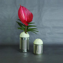 soliflore art de la conception vase préserver géodésique 3d print model - Mito3D