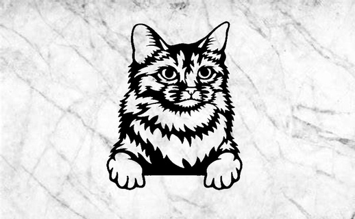somalo gatto parete arredamento murale mascota deco Casa animale domestico casa Luna vegano decorazione tavolo 3d print model - Mito3D