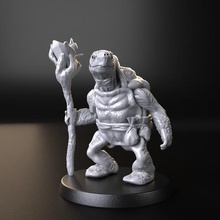 feiticeiro de tartaruga jogo d&d 3d print model - Mito3D