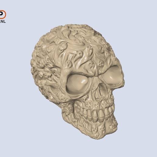 souls skull hollow art 3d scan lamp led lighting scans replicas 3D print model - Mito3D