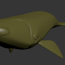meridionale balena 3d print model - Mito3D