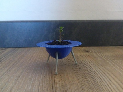 space saucer flower pot flower plantersxcults plantersxcults plant pot pot decoration saucer  3d print model - Mito3D