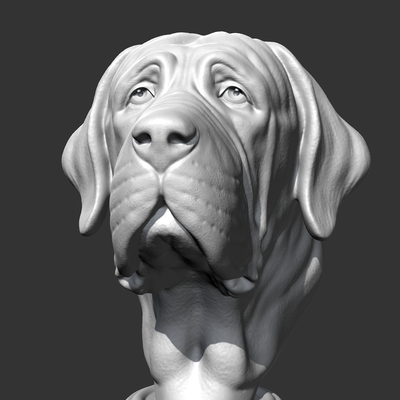 espanhol mastim cabeça am30 3d impressão modelo arte animal cão fracasso escultura estátua monumento baixar estatueta impressora gatinha miniatura miniaturas 3d print model - Mito3D