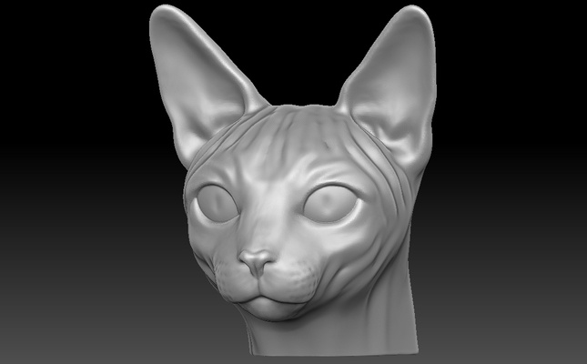 sphynx cat head 3d printing bengal maine coon persian ragdoll russian blue wedge siamese norwegian forest shorthair british animal dog domestic breed european 3d print model - Mito3D