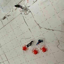 spidars giant miniaturas juego guerra sci fi fantasía d arañas 3d print model - Mito3D