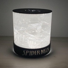 spider-man lamp spiderman light wanhao guide filament corsica printer cleaner pla duplicator 12 support 3d print model - Mito3D