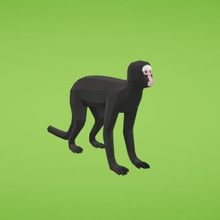 spider monkey game mammal ape 3d print model - Mito3D