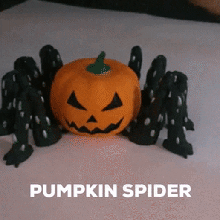 spider pumpkin articulated game spooky season halloween jack lantern scare skeleton flexi flexible print place 3d print model - Mito3D