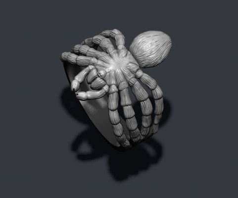 spider ring 3d print model jewelry animal arachnid fur gold goliath hair insect jewel jewelry mexican nature poison realistic rings silver tarantula venom 3d print model - Mito3D