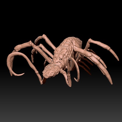 spiderling of rom - bloodborne game spider bug enemy old one god eldritch horror fromsoft souls soulsborne dungeon 3d print model - Mito3D