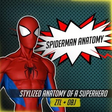 spiderman anatomy art games pop culture comics dc 3dmax epic stylized hero superheroes superhero heroes marvel avengers spiderverse series thor blackwidow ironman dr strange tom holland style electro body reference multiverse stanlee stan lee toy action figure statue collectible zbrush battle figurine joker gaming gamer witcher legendary league legends lol weapon artist 3dmodel 3d model cool cosplay cosplayer props prop key keys present gift gifting gifts render pro 3d print model - Mito3D
