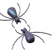 araignées Jeu araignée veines blague animaux homme 3d print model - Mito3D