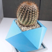 spikey planter home indoors indoor house house-plants plant plants decor indoor-planter succulent-planter succulent planters cactus cacti succulents 3d print model - Mito3D