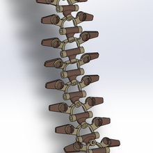 spinal column 3d print model - Mito3D