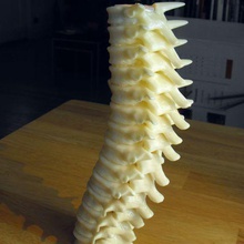 colonna vertebrale supporto di candela art le ossa harry potter tè luce vertebre sculture 3d print model - Mito3D