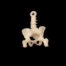 spine pelvis keychain art cool surgery medical 3d print model - Mito3D