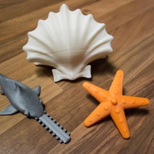 spinning toy starfish sawfish shellfish game clam kreisel onsuchafullsea saw-fish scallop sea-star shell-fish top mechanical toys 3d print model - Mito3D