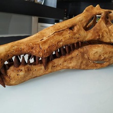 spinosaurus dinosaur skull art skeleton fossil jurassic 3d print model - Mito3D